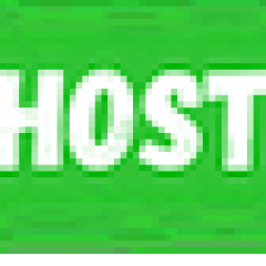 1hosting